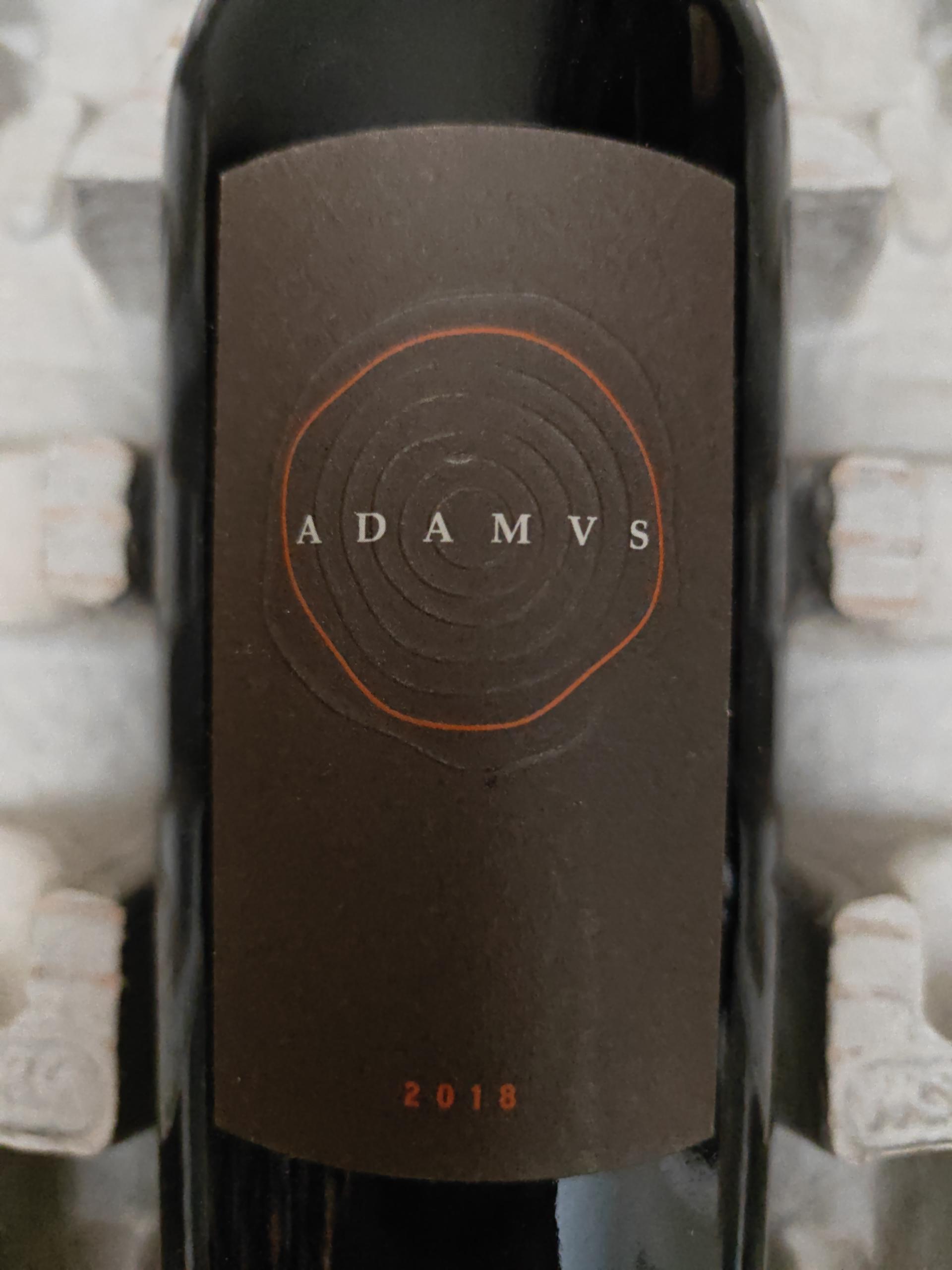 Wine Image